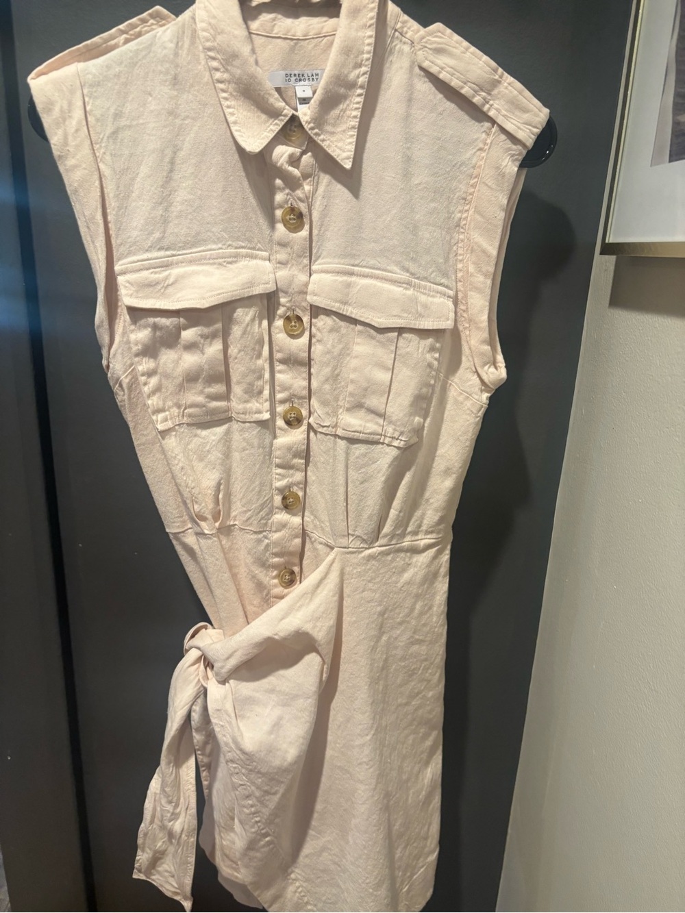 10 Crosby Derek Lam Pale Blush Button-Front Sleeveless Shirt Dress